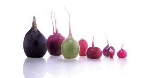 Radish Renaissance: Try Our Radical Radish Recipes Image